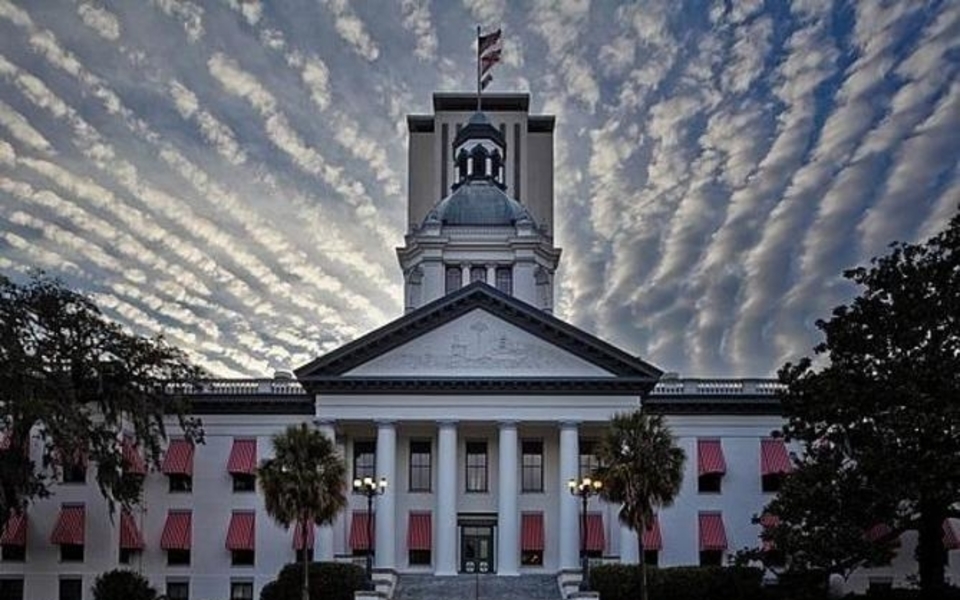 Florida Protests House Bill 999