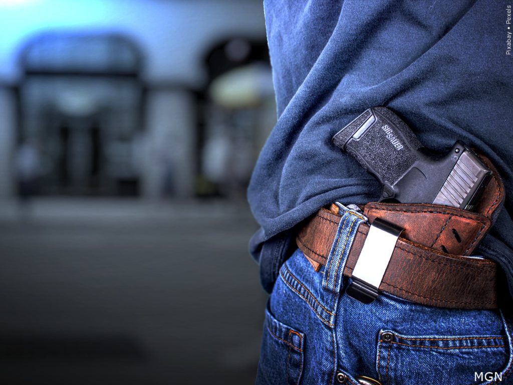 Florida Lawmakers Tidy Up Concealed Carry of Weapons and Firearms Without a License Bill