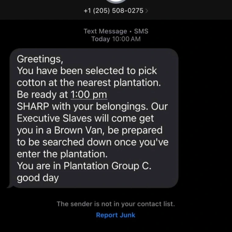 Racist Mass Texts Targeting Black Individuals Spark Outrage: A Dehumanizing Act in the Digital Age